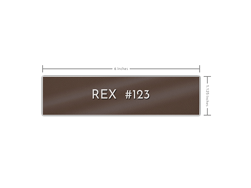 Img Np Psd 2 800x600 Trans